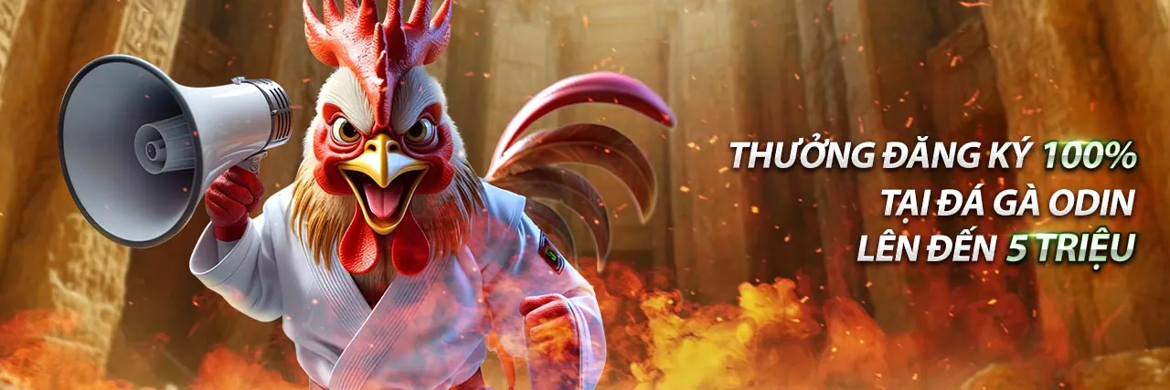 Sân đấu đá gà trực tuyến PG66 sôi động